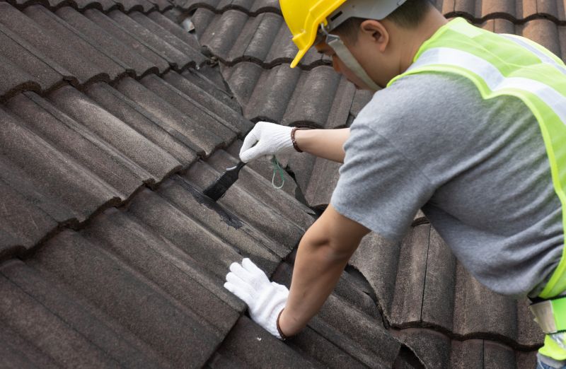 Roof Repair Work
